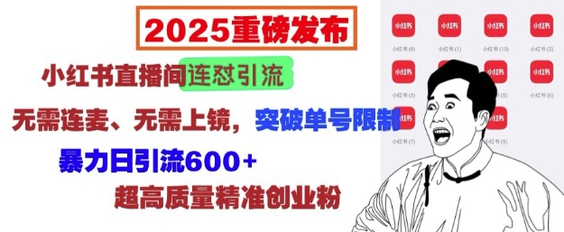 2025重磅發布:小紅書直播間連懟引流,無需連麥、無需上鏡,突破單號限制,暴力日引流600+