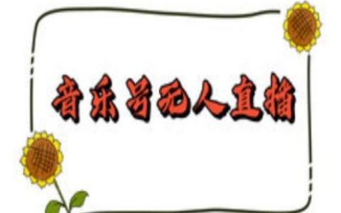 抖音音樂號無人直播間搭建指南：手把手教你24小時不間斷直播賺取音浪