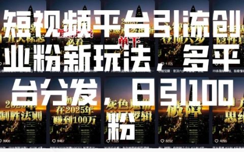 掌握短視頻引流技巧：多平臺操作日增100創(chuàng)業(yè)粉絲策略