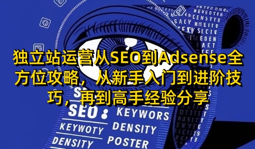 獨立站運營從SEO到Adsense全方位攻略,從新手入門到進階技巧,再到高手經驗分享