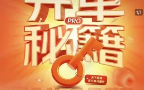 淘寶開(kāi)店攻略PRO：個(gè)性化實(shí)戰(zhàn)陪跑方案，解決店鋪迷茫，助力突破運(yùn)營(yíng)瓶頸