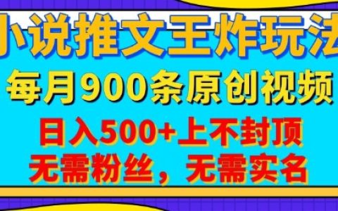 小說推文新玩法，一鍵代發(fā)每月最高900條原創(chuàng)視頻，播放即賺，日入五元，無需粉絲實(shí)名認(rèn)證【揭秘】