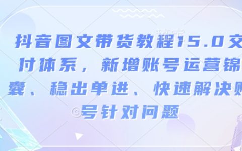 抖音圖文帶貨攻略15.0：全新賬號運(yùn)營方案、穩(wěn)定出單技巧及快速解決問題