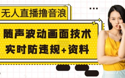 無人直播技巧：擼音浪+動態畫面調整+實時防違規策略+詳細資料揭秘
