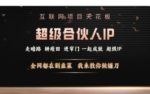 揭秘互聯網項目巔峰策略：打造超級合伙人IP，逆轉被動局面，教你成為收割市場的高手