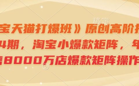淘寶天貓高級課程：第64期小爆款矩陣打造，實現(xiàn)年銷售8000萬店鋪運營技巧