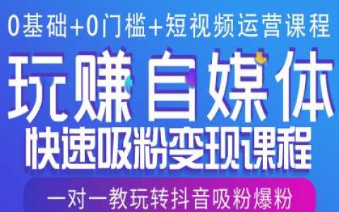 零基礎入門短視頻運營課程，手把手教你快速吸粉變現，一對一指導玩轉抖音增粉技巧