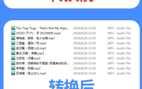 小紅書賣格式轉(zhuǎn)化服務項目，冷門高需求，目前已變現(xiàn)23000+【保姆式教程】