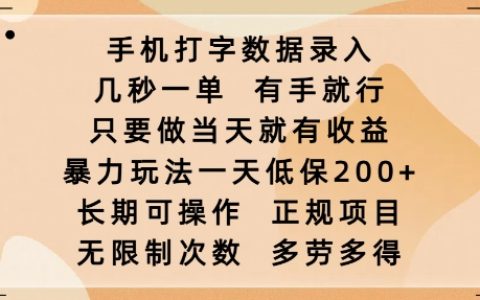 手機打字數據錄入賺錢：幾秒一單，有手就行，當天收益，日賺2張暴力玩法