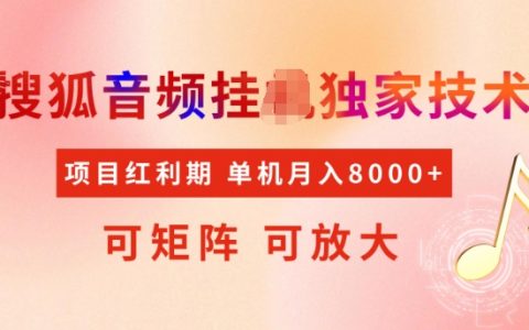 搜狐音頻獨家首發，項目紅利期揭秘：矩陣運營助力穩定月入5K+