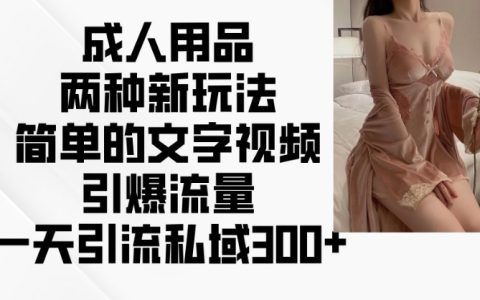 成人用品新玩法：簡(jiǎn)單文字+視頻引流，輕松實(shí)現(xiàn)私域流量日增300+