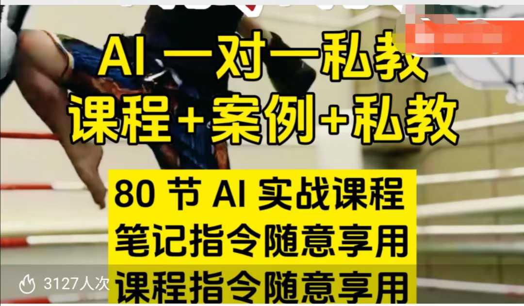 AI指令實戰(zhàn)課,課程+案例,80節(jié)AI實戰(zhàn)課程,筆記指令隨意享用,課程指令隨意享用
