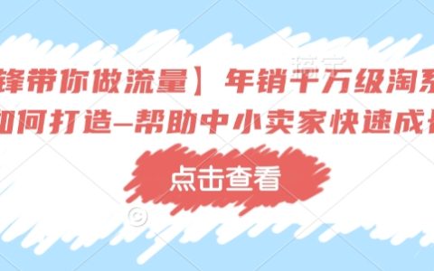 冷鋒實戰分享：年銷千萬級淘系商家如何打造？中小賣家快速成長秘籍