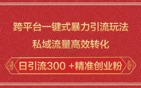 多平臺暴力引流技巧：私域流量高效轉化，輕松實現日引流300精準創業粉