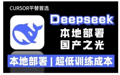 2025年DeepSeek R1模型本地部署指南：超低訓(xùn)練成本+詳細(xì)安裝教程