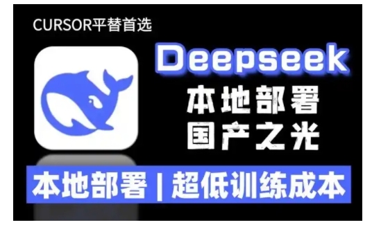 2025年deepseek R1 大型模型本地安裝部署(文件+教程)本地部署,超低訓(xùn)練成本