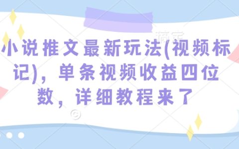 揭秘小說推文新技巧（視頻標注法），單條視頻收入過千，手把手教學教程全公開
