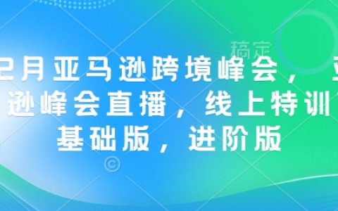12月跨境電商盛會：參與亞馬遜跨境峰會直播，解鎖線上特訓營基礎版與進階版秘籍