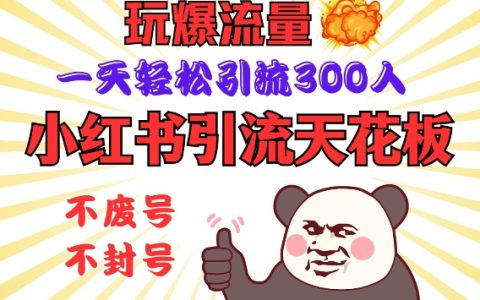 小紅書引流新高度：掌握流量爆破技巧，安全操作實現每日300+精準引流，新手也能輕松上手