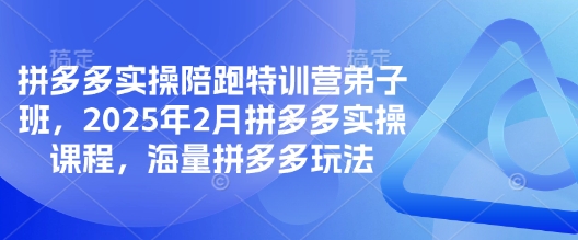 拼多多實操陪跑特訓營弟子班,2025年2月拼多多實操課程,海量拼多多玩法