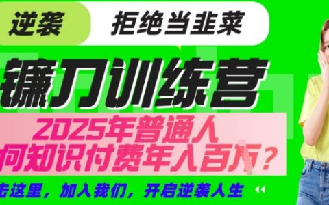 2025年普通人靠知識付費年賺百萬 | 鐮刀訓練營超級IP合伙人項目深度解讀（獨家揭秘版）