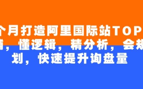 4個月沖刺阿里國際站頂尖店鋪：掌握邏輯、精細分析與高效規(guī)劃，大幅提升詢盤量