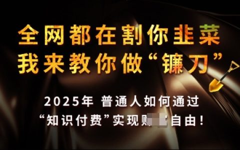 2025年實(shí)現(xiàn)知識付費(fèi)月收入過萬，手把手教你成為行業(yè)頂尖高手【深度解析】