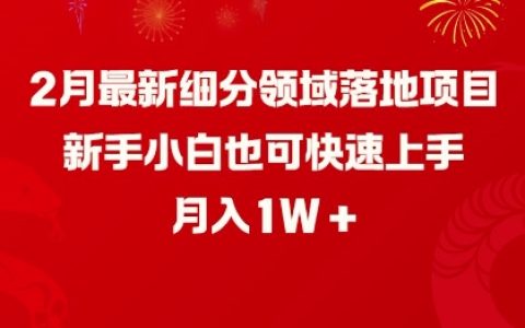 2月最新細(xì)分領(lǐng)域?qū)崙?zhàn)項(xiàng)目，新手小白快速入門，月收入破萬指南