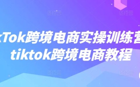 TikTok跨境電商實戰培訓課程，TikTok跨境電商運營教程全面指導