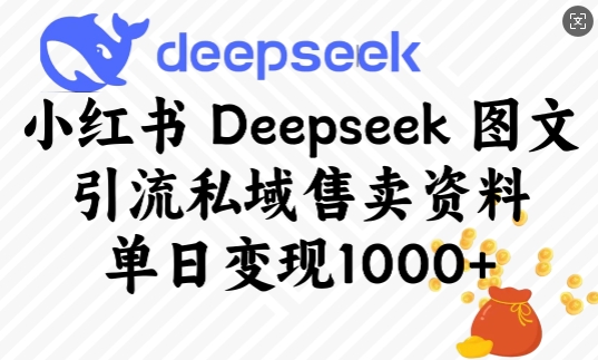 小紅書Deepseek圖文引流私域售賣資料，單日變現多張