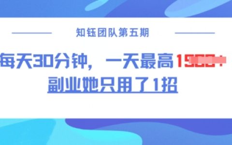 揭秘副業(yè)新招：每天30分鐘無(wú)腦二創(chuàng)，實(shí)現(xiàn)日入1.5k的高效方法