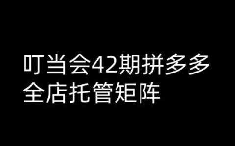 叮當會拼多多打爆班高階課程第42期-拼多多全店托管運營矩陣技巧