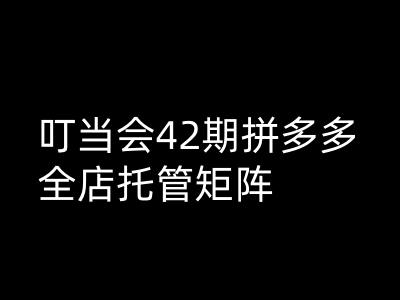 叮當會拼多多打爆班原創高階技術第42期,拼多多全店托管矩陣