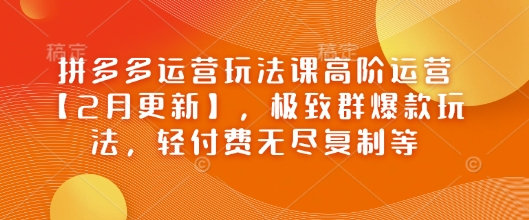 拼多多運營玩法課高階運營【2月更新】，極致群爆款玩法，輕付費無盡復制等