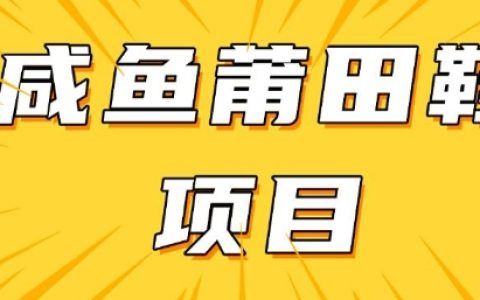 提升閑魚轉(zhuǎn)化率的高收益項目，手把手教學日入300+，附詳細教程+貨源指南