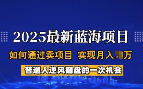 2025年藍海商機揭秘：普通人如何通過項目銷售實現月收入過萬全過程指導