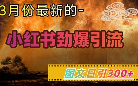 小紅書超強引流技巧大公開，每日圖文吸引300+粉絲，輕松實現月入過萬