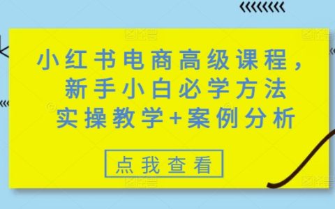 小紅書電商進階教程：新手必學技巧，實操教學+案例分析全方位指導