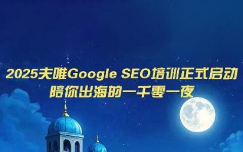 2025搜外夫唯Google獨立站SEO系統教程，從零搭建到變現的完整SEO解決方案