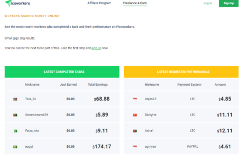 國外小項目，簡單小項目賺美金，1個任務10秒，讓你輕松賺美金，2025副業輕松賺錢