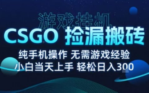 9月最新游戲搬磚，CSGO純掛G，不需要玩游戲，實(shí)現(xiàn)真掛G，月入1W+【揭秘】