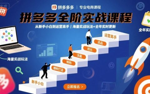 拼多多全階實戰課程，從新手小白到運營高手，海量實戰玩法+全年實時更新【2025年9月更新】