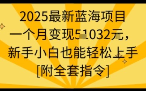 2025最新藍海項目一個月變現1w+新手小白也能輕松上手【附全套指令】