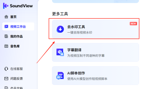 視頻去水印去字幕網(wǎng)站,聲動(dòng)視界，免費(fèi)好用