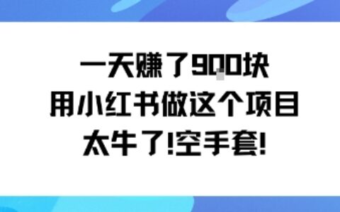 一天掙了9張用小紅書做這個項目太牛了，空手套