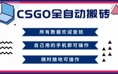 CSGO全自動搬磚，年底錢回家好項目，當天可拿到結果，新手小白輕松月入1W+【揭秘】