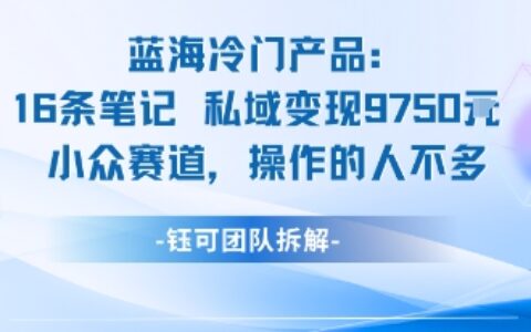 藍海項目：16條筆記私域變現9750米小眾賽道操作的人不多