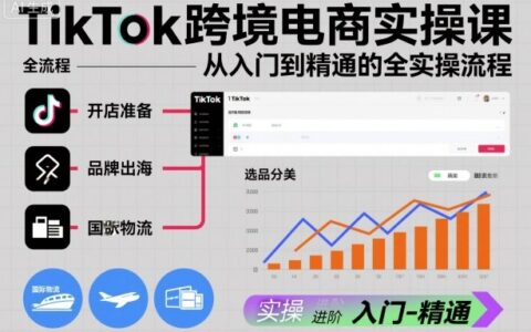 TikTok跨境電商實操課，從入門到精通的全實操流程