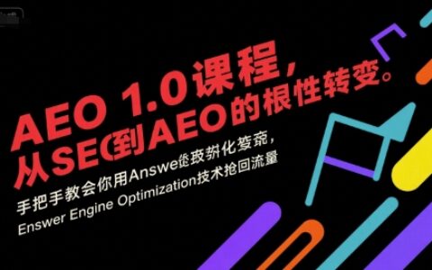 AEO 1.0 課程，從SEO到AE0的基命性轉(zhuǎn)變，手把手教會(huì)你用AnswerEngineOptimization技術(shù)搶回流量（更新）
