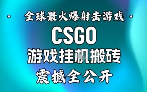 【年底大揭秘】基于全球最火爆的射擊CSGO游戲掛G搬磚，日入5張+，震撼公開